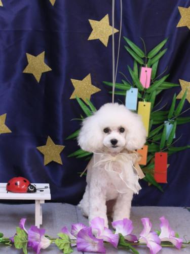 20230706ゆわちゃん